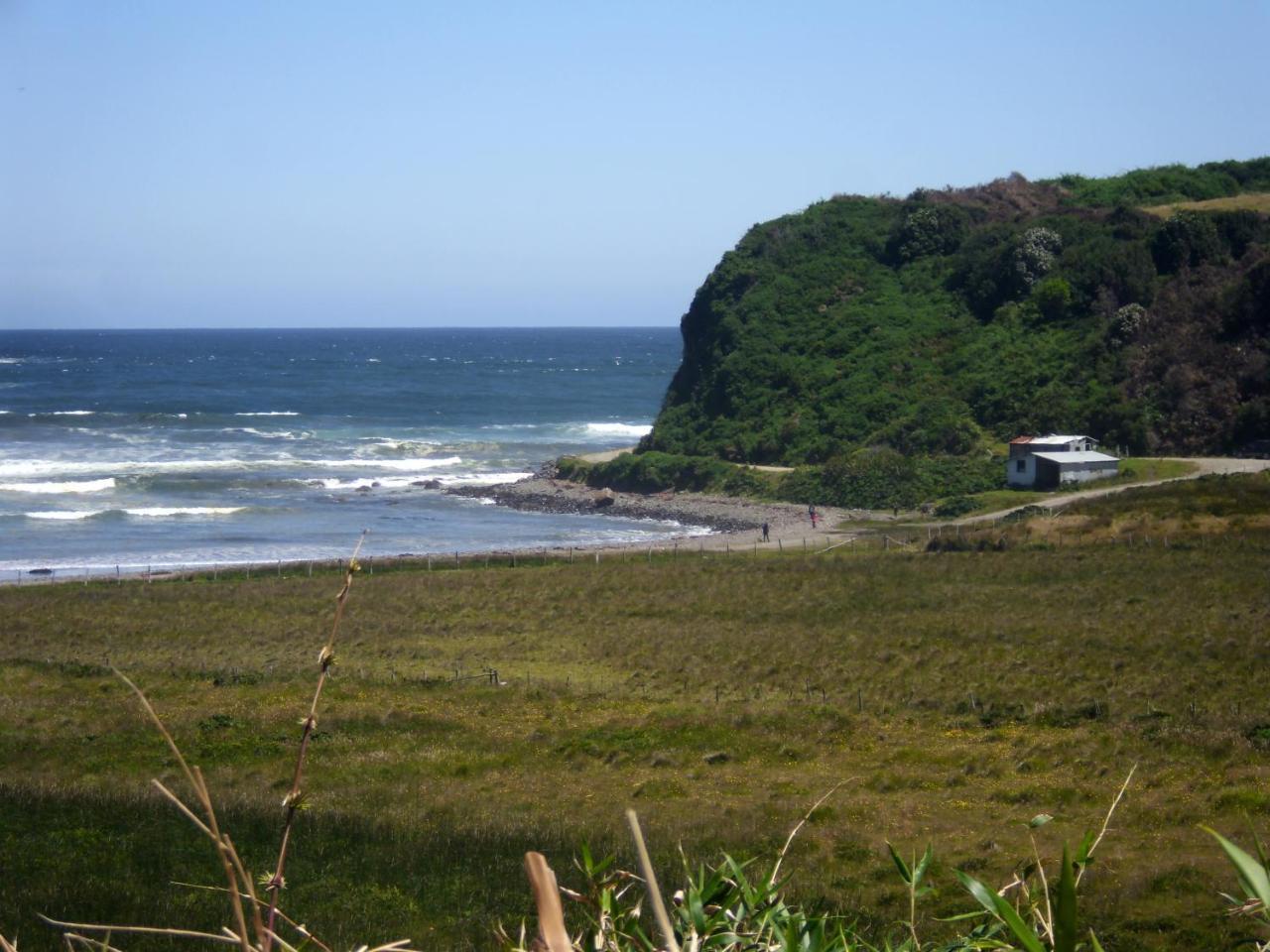 Mar Brava *